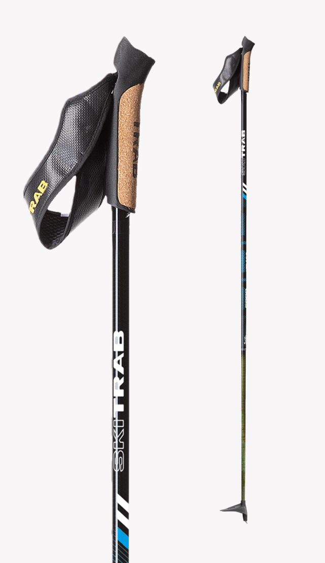 VERTICAL CARBON POLES