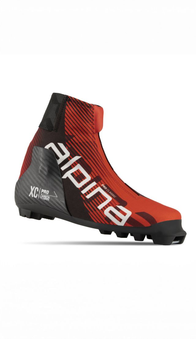 ALPINA PRO CLASSIC A25